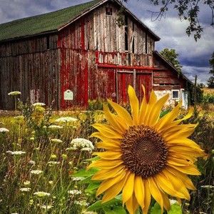 Meet your Posher, Charlotte